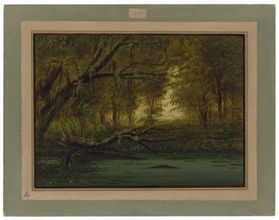  作： ジョージ・カトリン