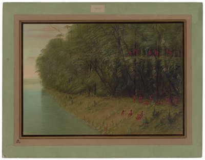 アマゾンの森 - 上陸を望む 作： George Catlin