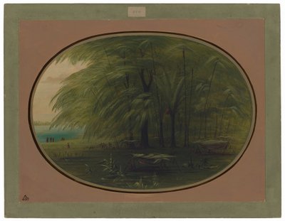 インドの村 - アマゾンの海岸 作： George Catlin