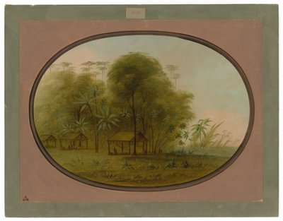 アロワク村 作： George Catlin