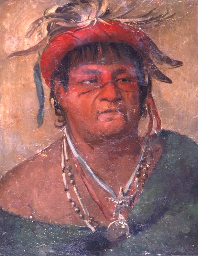 アウ・カ・ナ・ポー・ワー、大地に立つ、古く勇敢な戦士 作： George Catlin