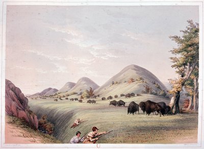 バイソン狩り 作： George Catlin