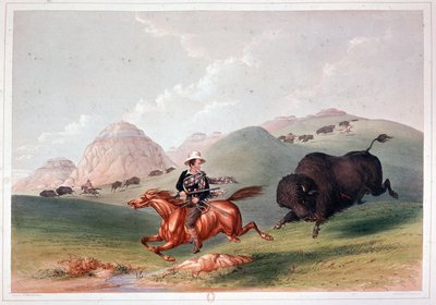 ジョルジュ・カトリンによるリトグラフ「北アメリカのバイソン狩り 作： George Catlin