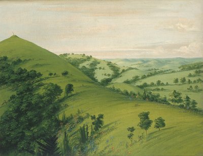 クロウタドリの墓、背面図、花でエナメルを塗った大草原、1832 年。 作： George Catlin