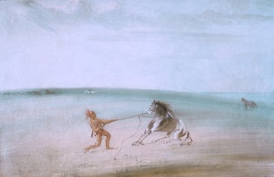 野生馬の解体 作： ジョージ・カトリン