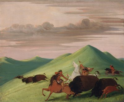 バッファローチェイス、牛と子牛を守る雄牛 作： George Catlin