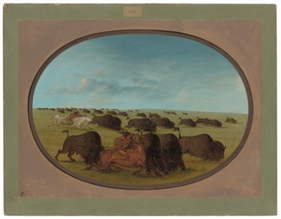 アクシデントのあるバッファロー・チェイス 作： George Catlin