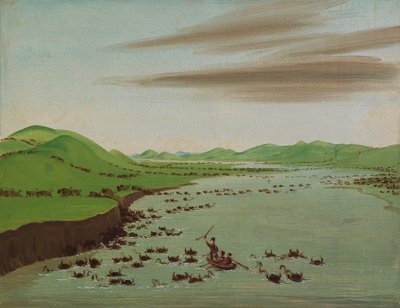 ミズーリ州北部を横断するバッファローの群れ、1832年。 作： George Catlin