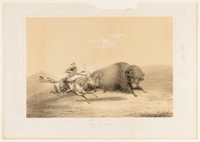 バッファロー・ハント、チェイス--No.5 作： George Catlin