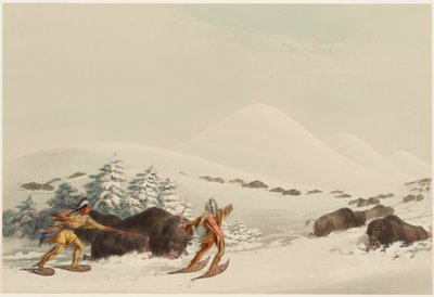  作： George Catlin