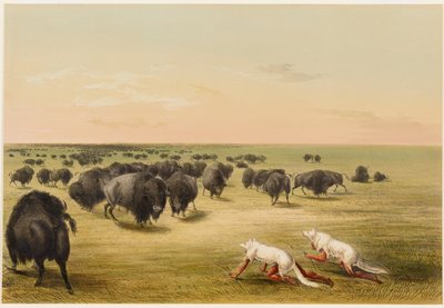  作： George Catlin