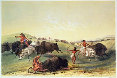 バッファローハント、カトリンの北米インディアンコレクションのプレート7、マクガヘイ、デイ、ハゲの彫刻 作： George Catlin