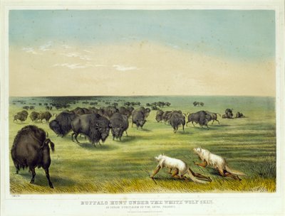  作： George Catlin
