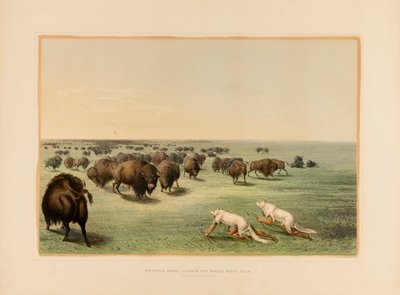 バッファロー・ハント、ホワイト・ウルフスキンの下で--13号 作： George Catlin