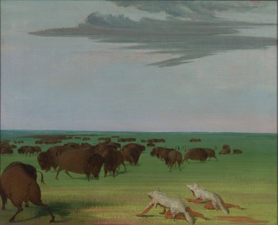狼の皮の仮面の下のバッファロー・ハント 作： George Catlin