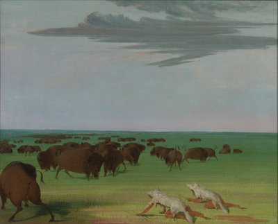 ウルフスキンマスクの下でのバッファローハント、1832-1833。 作： George Catlin