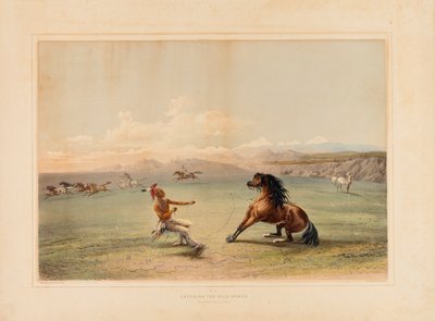 野生の馬を捕まえる--No.4 作： George Catlin
