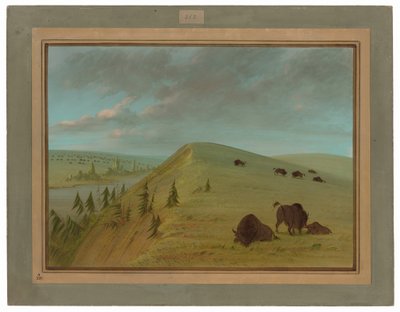 シダー ブラフス 作： George Catlin