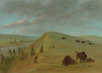 シダー ブラフス、18611869。 作： George Catlin