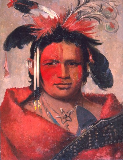 チー・メ・ナ・ケ、グレート・クラウド、グリズリー・ベアの息子 作： George Catlin