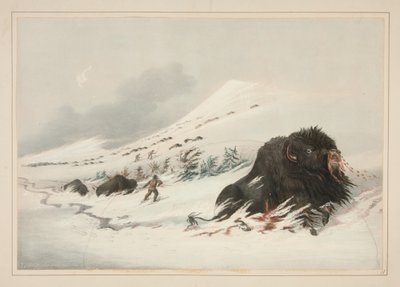  作： George Catlin