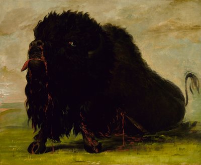 死にかけているバッファロー、矢で撃たれた、1832-1833。 作： George Catlin