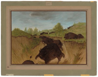 バッファローを攻撃するハイイログマ 作： George Catlin