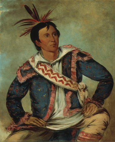 Há-tchoo-túc-knee, スナッピング・タートル、ハーフ・ブリード 作： George Catlin