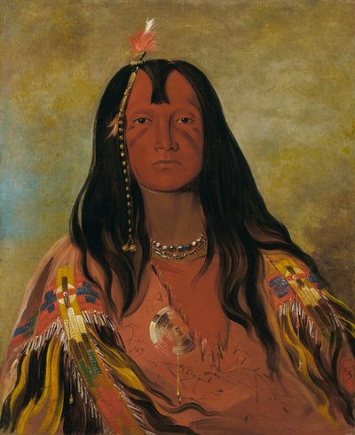 フコアフコアフコテスミン、頭に角はない、勇敢な男だ 作： George Catlin