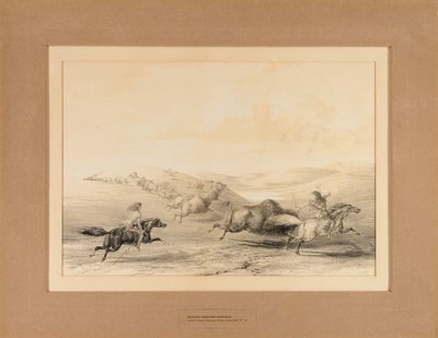 バッファローを狩るインディアン--29号 作： George Catlin