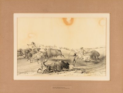 バッファローを狩るインディアン--7号 作： George Catlin