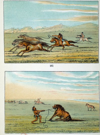 アメリカのインディアン：野生の馬の捕まえ方。ジョージ・カトリン（1794-1872）のイラスト 作： George Catlin