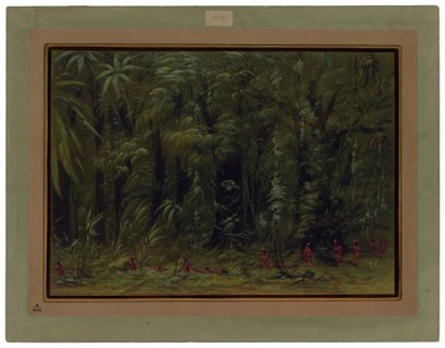 アマゾンの森の内部 - ズルマティ 作： George Catlin