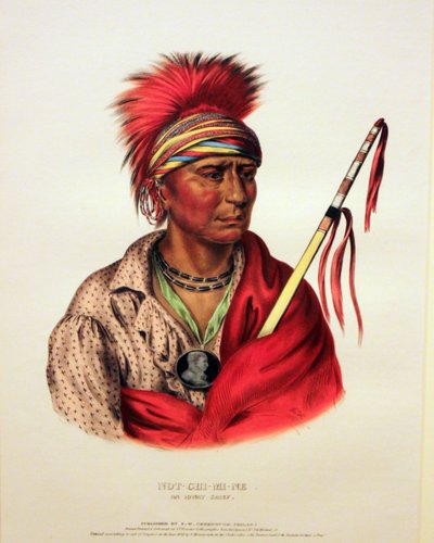 アイオウェイ族長ノット・チ・ミ・ネ 作： George Catlin