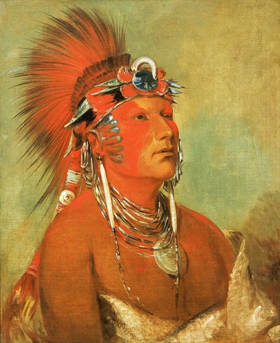 ジー・ヘ・オ・ホ・シャ、投げ捨てられない、戦士 作： George Catlin