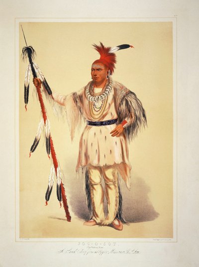  作： George Catlin