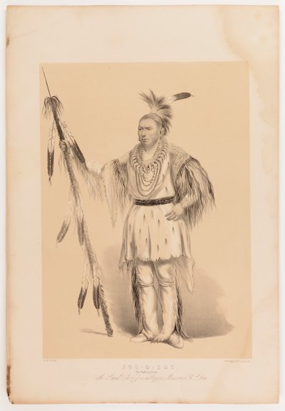 ジョック・オ・ソット、歩くクマ 作： George Catlin
