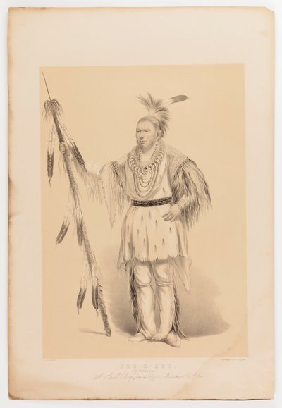 ジョック・オ・ソット、歩くクマ 作： George Catlin