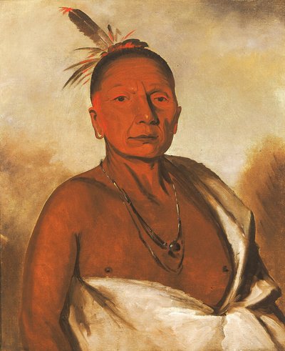 キッド・ア・デイ、優れた勇者 作： George Catlin