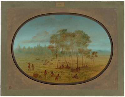 野生のブドウを集めるキオワ インディアン 作： George Catlin