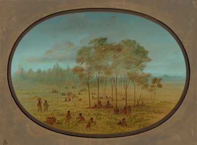 野生のブドウを集めるキオワ州のインディアン、18611869。 作： George Catlin