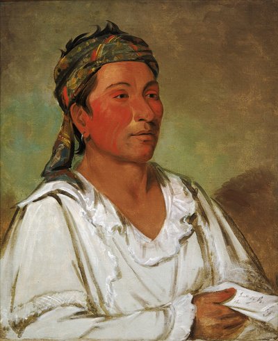 Lay-lóo-ah-pee-ái-shee-kaw、草、茂み、花、半開花。 作： George Catlin