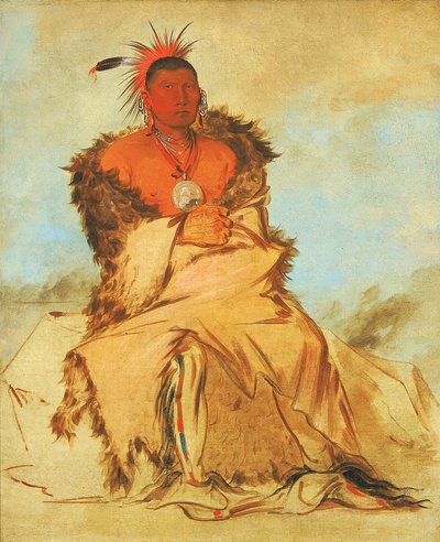 ルー・ラー・ウェ・リ・クー、戦争に行く鳥、タパージュ・ポーンニー 作： George Catlin