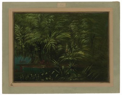 アマゾン川岸の豊かな森 作： George Catlin