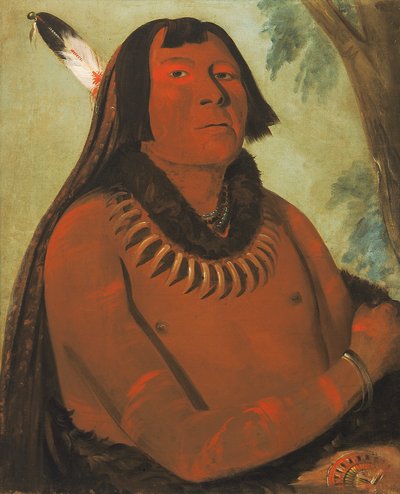 マー・タープ・ター、真ん中を突っ走る、勇敢な男 作： George Catlin