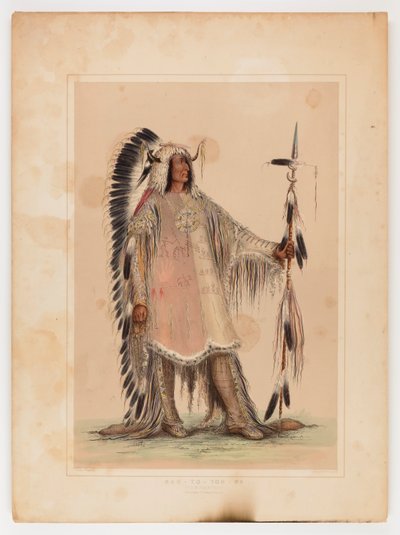 マンダンの酋長マ・ト・パ 作： George Catlin