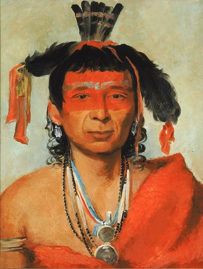 マーシュ・キー・ウェット、グレート・ダンディ 作： George Catlin