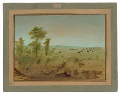 ミレッドバッファローとオオカミ 作： George Catlin