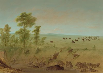ミレッドバッファローとオオカミ、18611869。 作： George Catlin