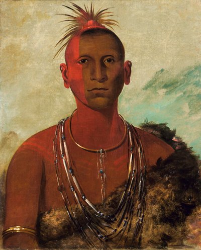 ナ・セ・ウス・クック、渦巻く雷、ブラック・ホークの長男 作： George Catlin